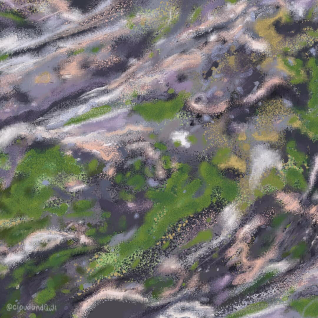 multnomah falls • bark abstract